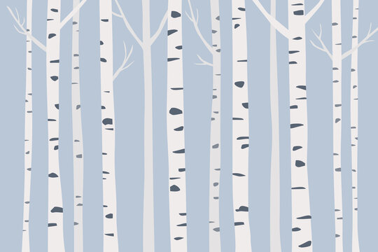 Birch tree trunks vector illustration.