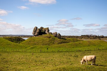 Beautiful shot of a cow grazing against the ruins of Clonmacnoise on a green hill in County Offaly
