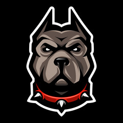 Pit Bull head icon. Dog logo. Fighting dogs label, sport mascot. T-shirt print.