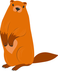 Groundhog Day. Groundhog character. Beaver or gopher.Flat cartoon style.Weather forecaster. © Анна Таранкова