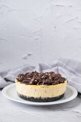 Cheesecake with cracker base and white background 