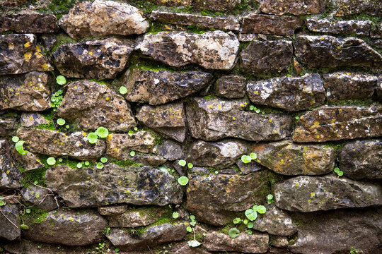 Nature, Gardening, Landscaping, Grass, Trees, Parks Related Image