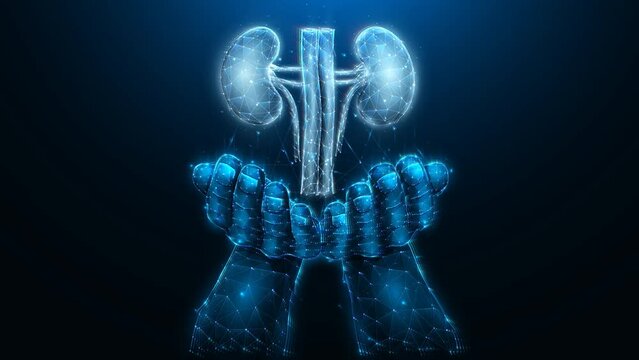 Human hand and kidneys futuristic polygonal motion graphics. Medical or healthcare motion graphics video