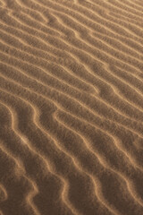 sand ripples in the sand