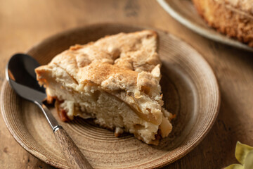 A piece of apple pie charlotte sprinkled with cinnamon on wooden background close up