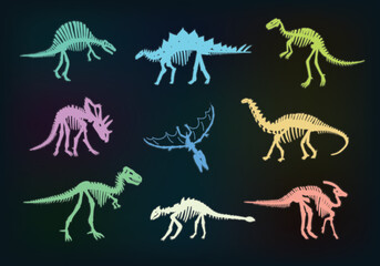Obraz na płótnie Canvas Dinosaur bones vector illustrations set.
