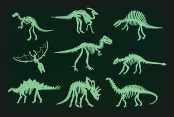 Dinosaur bones vector illustrations set.