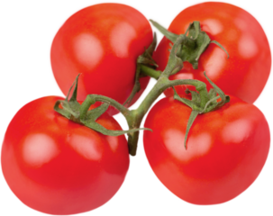 Tomatoes on the vine