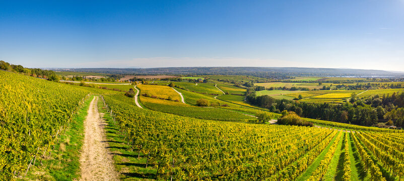 Weinberge im Rheingau im Herbst von oben (Drohne) an einem sonnigen Tag, nahe Kloster Eberbach