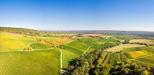 Weinberge im Rheingau im Herbst von oben (Drohne) an einem sonnigen Tag, nahe Kloster Eberbach