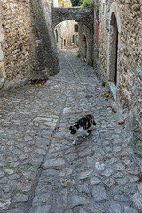 village médiéval de Mirmande dans la Drôme
