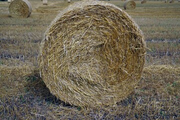 A bale of straw on a harvested field. Beautiful texture.