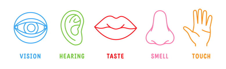 Five human senses. Vision, smell, hearing, touch, taste icons. Human sensory organs. Eye, nose, ear, hand, mouth icons.