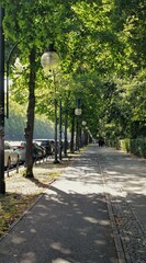 Fototapeta premium Natural view of a walkway in a park in Berlin, Germany