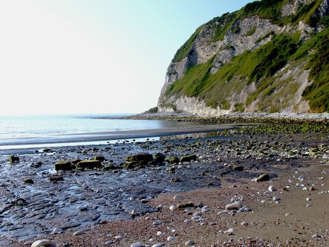 Shore Of The Whitecliff Bay In England