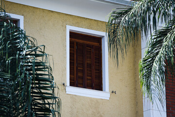 Closed Wooden Window Between Palm Trees