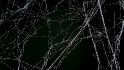 Creepy hanging spider web or cobweb on a black background. Spooky Halloween party or gothic background. White wavy threads or fiber are hung against a dark, sinister studio backdrop.