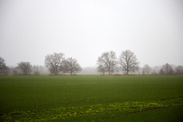 Outdoor countryside in a misty field, foggy rainy day, selective focus