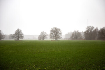 Outdoor countryside in a misty field, foggy rainy day, selective focus