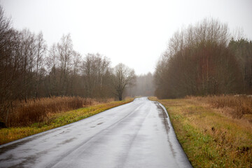 Autumn view on a rainy day with a trees on the edge of the road, selective focus