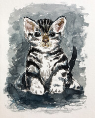 Watercolor drawing of a cat in a black and white stripe.