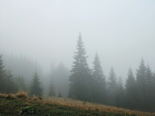 Summer and autumn hiking in the Carpathian mountains, stunning views from the tops, blue cloudy sky, fog