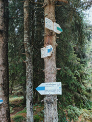 Summer and autumn hiking in the Carpathian mountains, stunning views from the tops, blue cloudy sky, fog