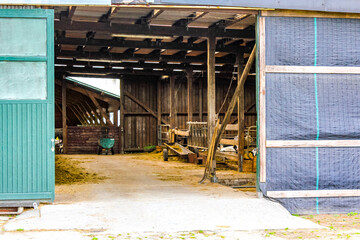 Cows in cow shed on a farm in Germany.