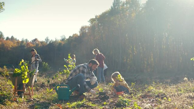 Caucasian father and daughter planting tree together in garden or park. Handome man with small cute child plant seedling of trees. Outside. Family working together in garden. Gardening.