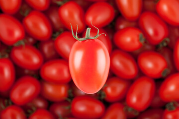 creative image of single cherry tomato in front of defocused heap of tomatoes