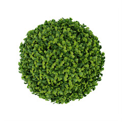 Artifical ball Buxus