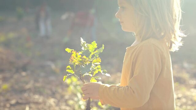 Close up of small cute Caucasian girl walking and carrying tree seedling in hands to dad and father planting it in ground. Outside. Little child helping to man in gardening. Kid with daddy coworking.
