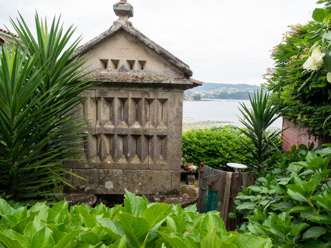 H&oacute;rreo entre las plantas