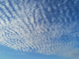 Fondo natural con detalle de nubes sesgadas en tonos blancos y cielo azul intenso