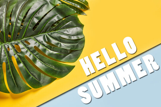 a green leaf on a yellow and blue background with the words'hello summer'in white text over it - Powered by Adobe