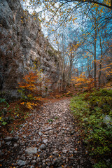 Obraz premium il foliage nei boschi del sirente, nel parco regionale del sirente velino