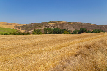Fototapeta na wymiar view of a crop field in Spain