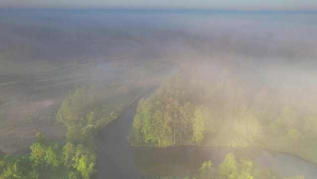 Aerial view of the narrow river surrounded by the green forest during foggy morning.