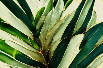Fototapeta na wymiar tropical plant backgound palm tree leaves
