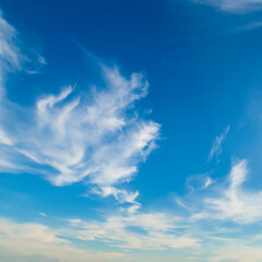 Fototapeta na wymiar Blue sky and nice cumulus clouds.