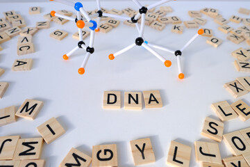 close-up of word dna, scattering of wooden squares with letters, model of molecular compounds on...