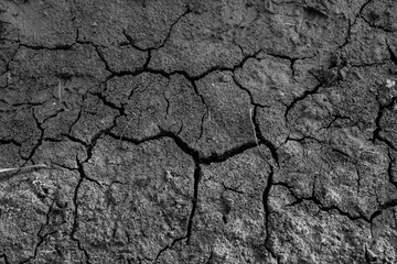 Crackered earth texture, close-up. Background of soil with cracks. The substrate for branding, calendar, post, banner, cover, card, website. A place for your design or text. High quality photography