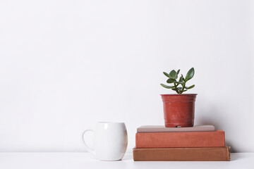 some books and a pot with a plant in it sitting on top of a stack of books next to a coffee mug