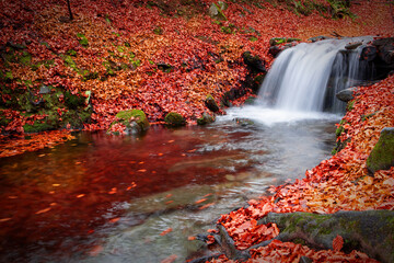 A waterfall in a beech autumn forest.
