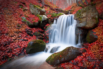 A waterfall in a beech autumn forest.