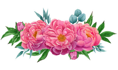 composition with peony flowers and eucalyptus leaves.