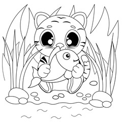 Vector coloring pages with cute tiger cub catches fish. Cartoon contour illustration isolated on white background