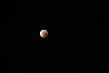 Blood Moon Eclipse Isolated Black Sky in Australia 