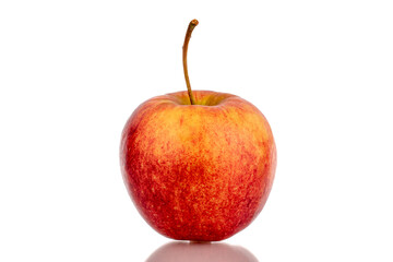 One red ripe apple, macro, isolated on white background.