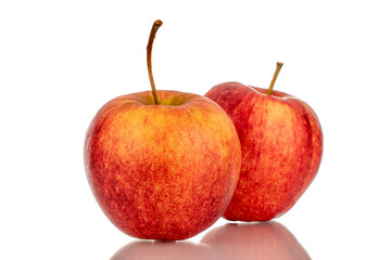 Two red ripe apples, macro, isolated on white background.